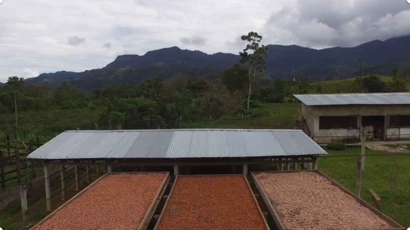 Barra de Chocolate 65% Cacao - Imagen 2